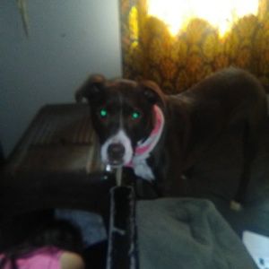 Meet your Posher, Norma